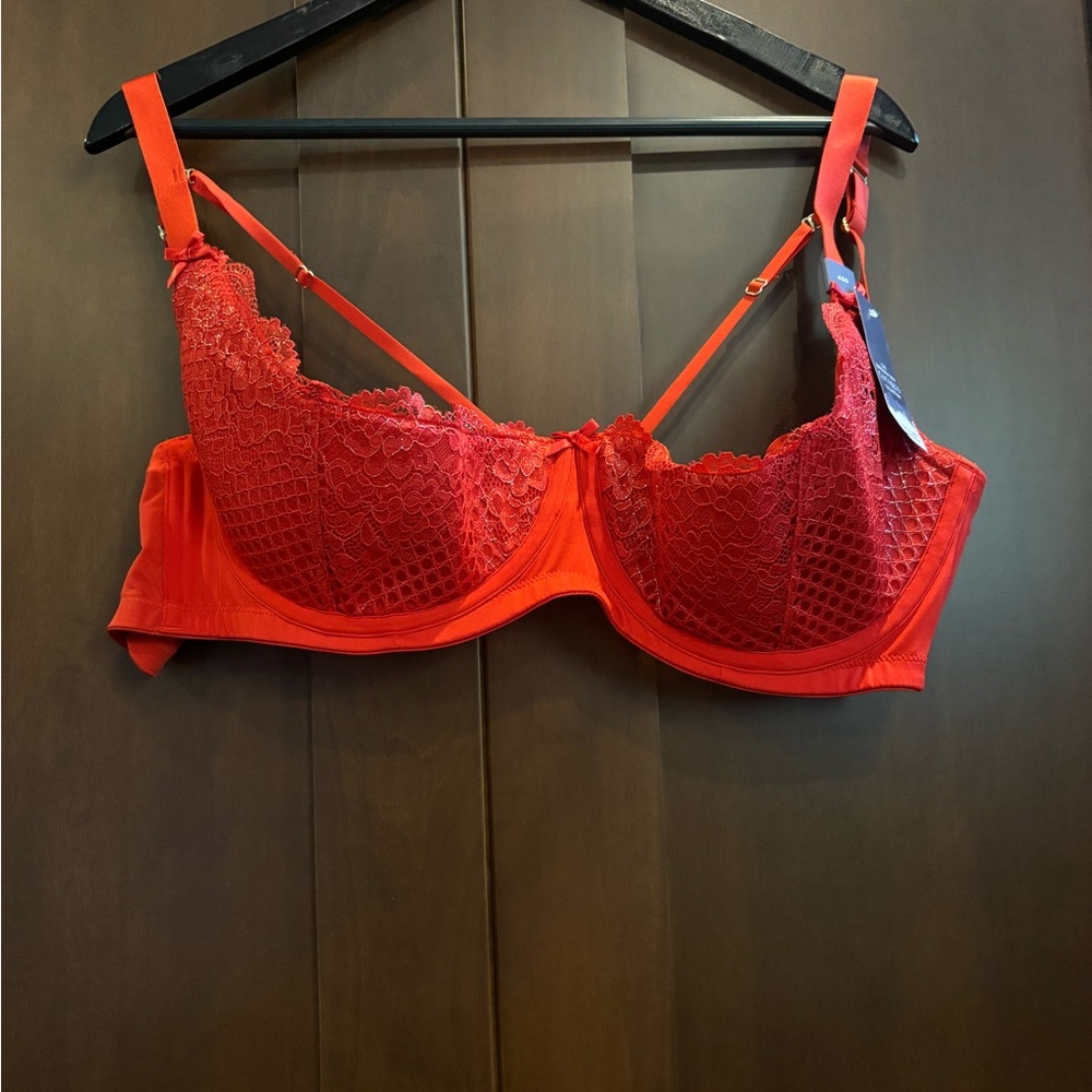 Wow! Red and metallic Demi bra.
